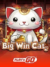 big-win-cat