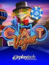 cat-in-vegas