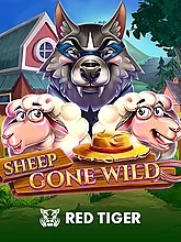 Sheep Gone Wild